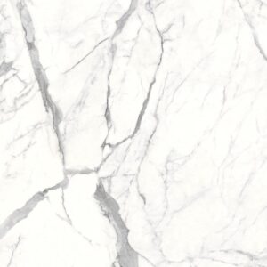 120X120 STATUA.LEONARDO 12 HONED