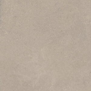 PR.TAUPE  60X120 RT